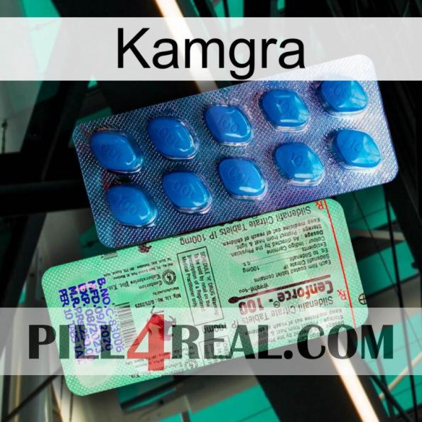 Kamgra new02.jpg